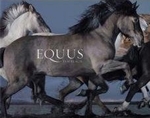 book-equus.jpg